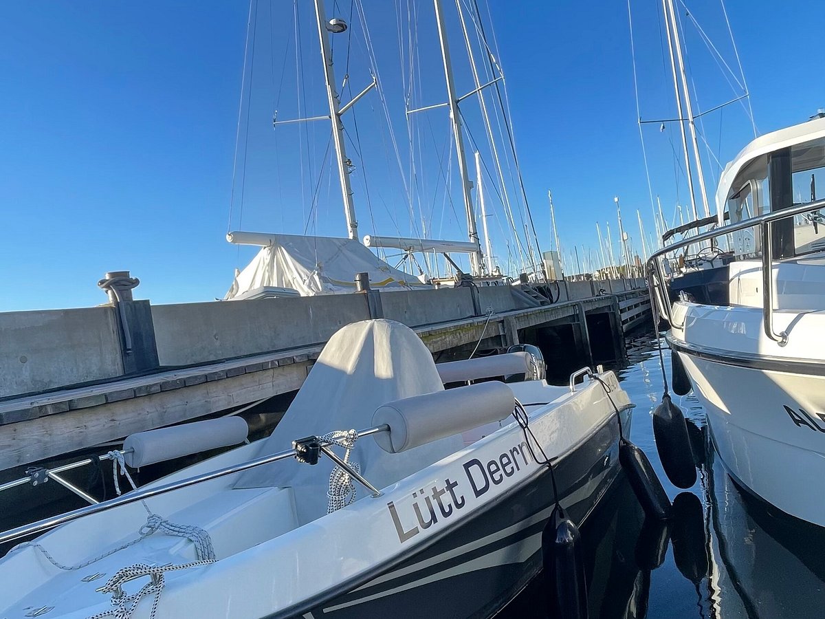 segelyacht charter laboe