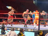 Tripadvisor, Lucha libre (luta livre mexicana) (tour privado) fornecido  pela Unlimited Experiences