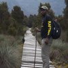 Ethnoecologist