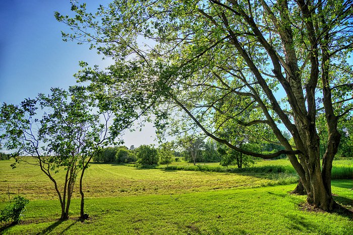 CAMP S'MORE - Campground Reviews (Long Prairie, MN)