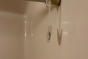 旅行者の写真