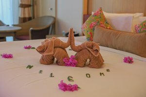 Room & Suite