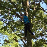 TreeRush Adventures at Fontenelle Forest (Bellevue) - All You Need to ...