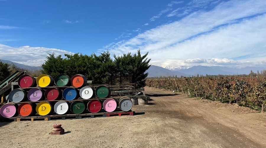 De nuestras visitas a Viña Butrón Budinich