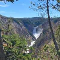 2023 Yellowstone Lower Loop Full-Day Tour - Reserve Now