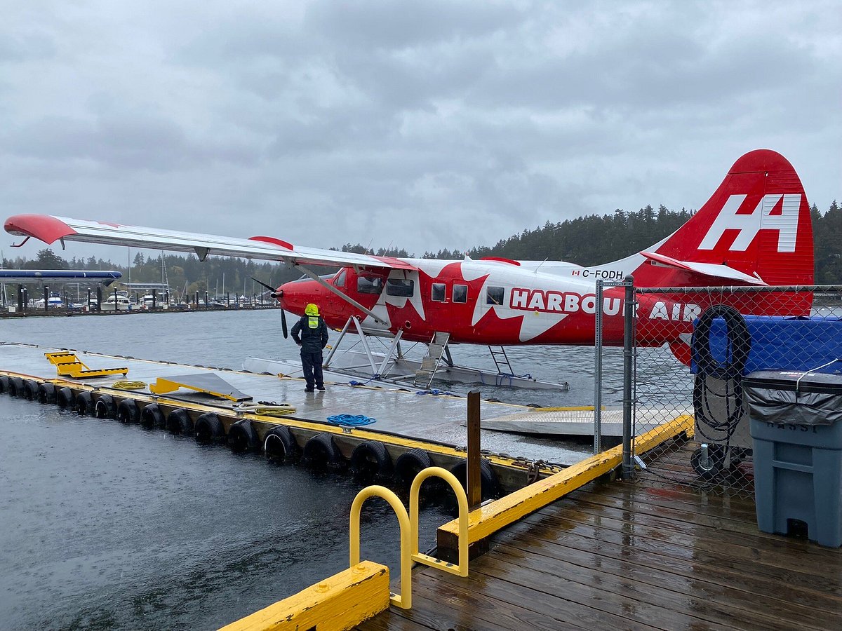 Harbour Air Seaplanes - All You Need to Know BEFORE You Go (2024)