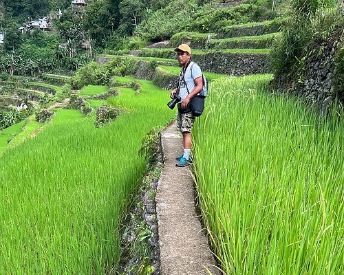 tour banaue rice terraces