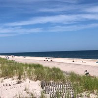 The Sunken Forest (Fire Island) - All You Need to Know BEFORE You Go