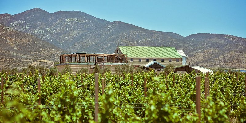 Finca La Carrodilla winery and vineyard in Valle de Guadalupe, Mexico