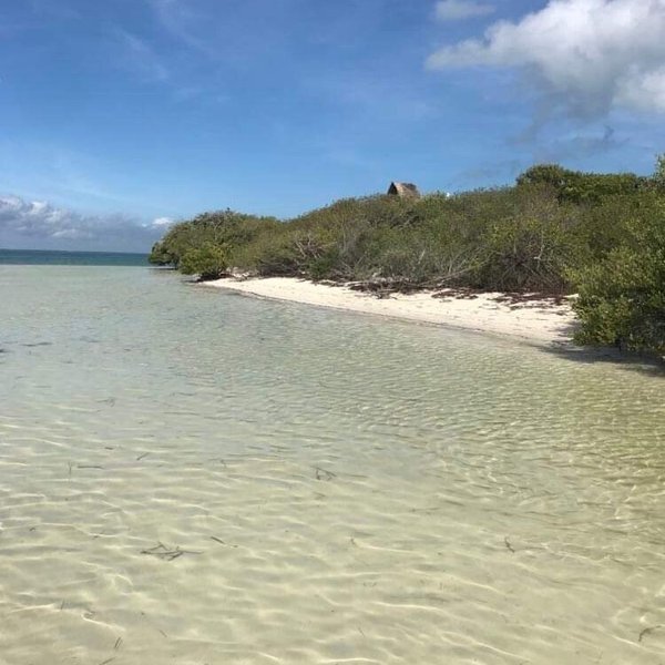 Playa Punta Cocos (Holbox Island) - All You Need to Know BEFORE You Go