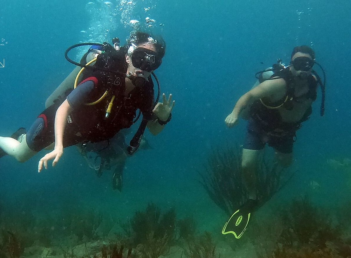 mayan dive center playa del carmen