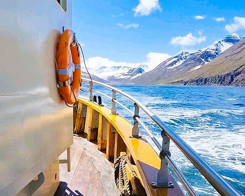 akureyri cruise tours