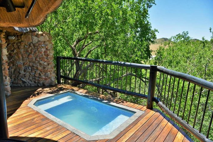 Tshukudu Bush Lodge Pool Pictures & Reviews - Tripadvisor