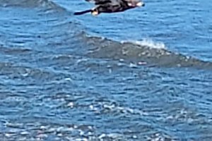 Pool und Strand