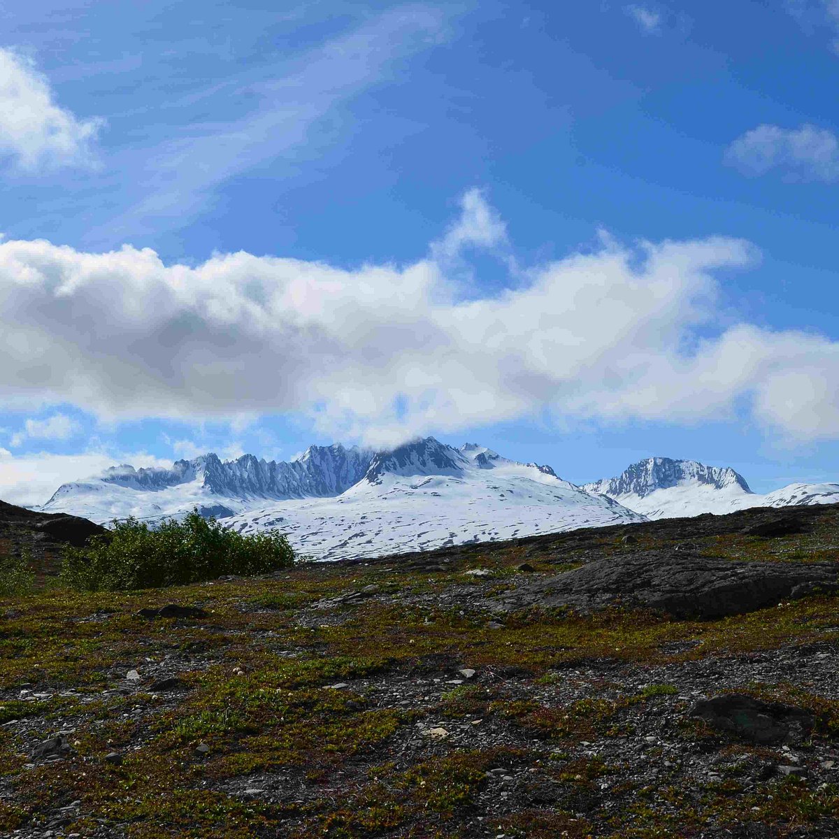 Thompson Pass (Valdez) - All You Need to Know BEFORE You Go