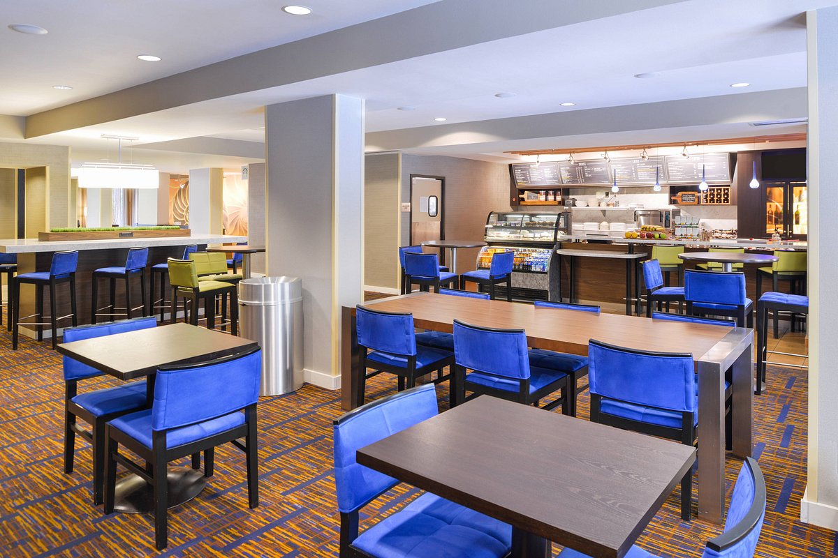 Courtyard by Marriott Tampa North/I-75 Fletcher, hotel in Tampa