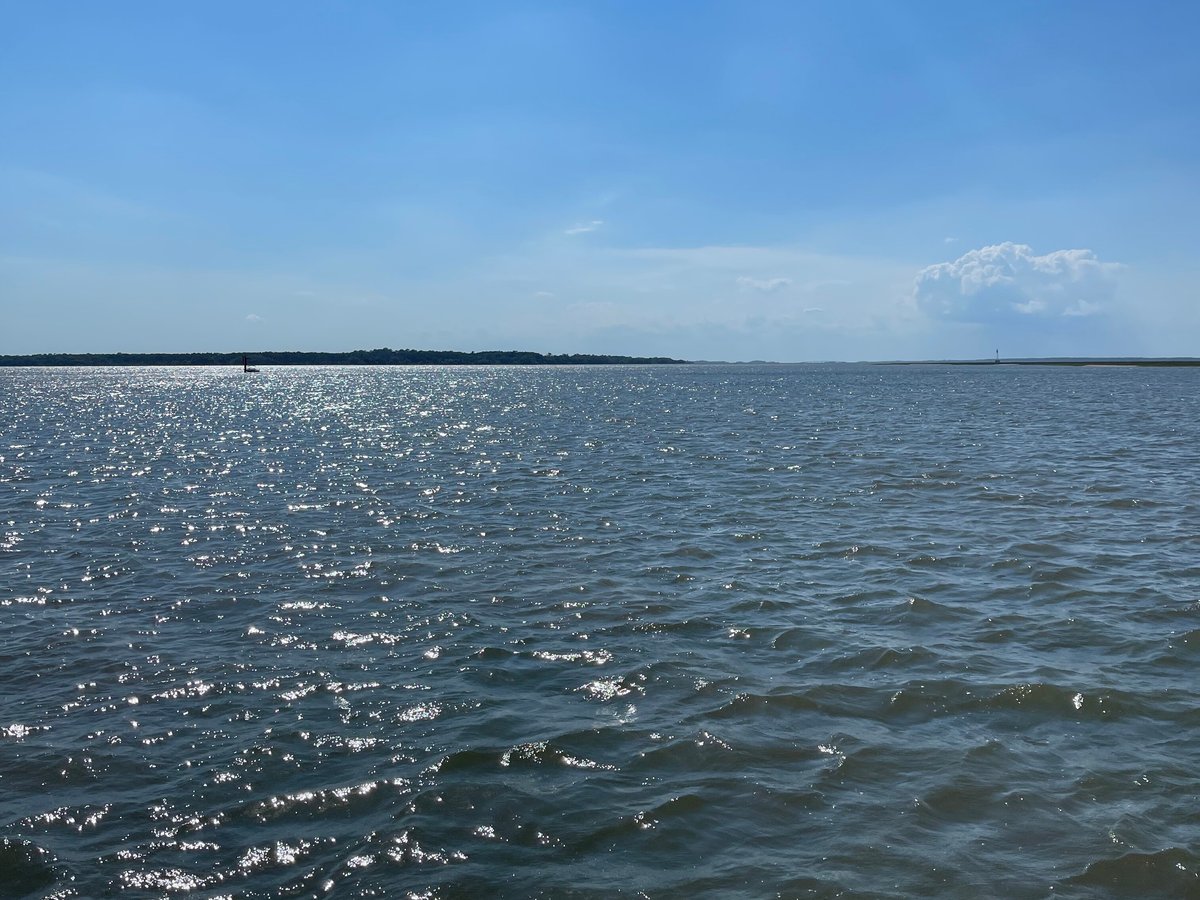 Captain Jack's Kiawah Sailing and Dolphin Watching (Johns Island) - All ...