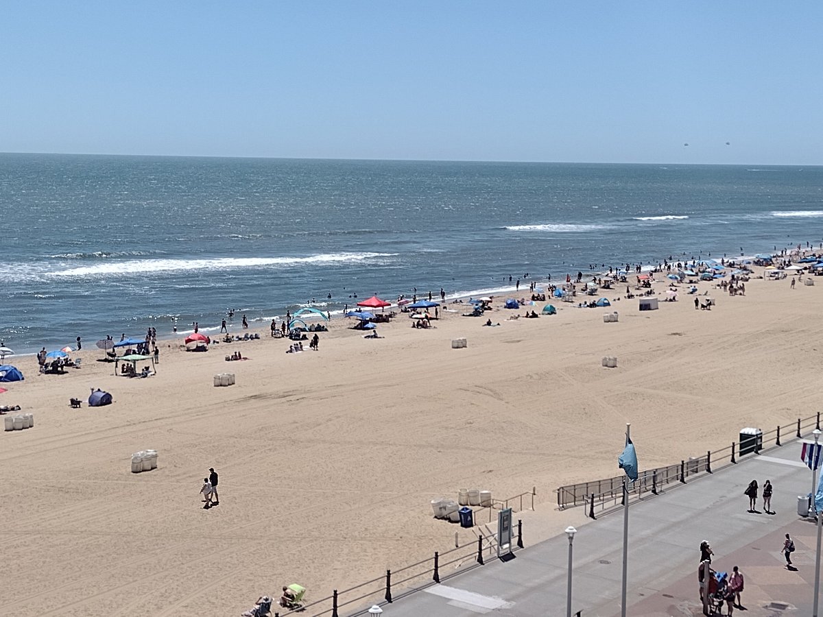 Hilton Garden Inn Virginia Beach Oceanfront Va 733 Fotos Comparação De Preços E Avaliações 2229