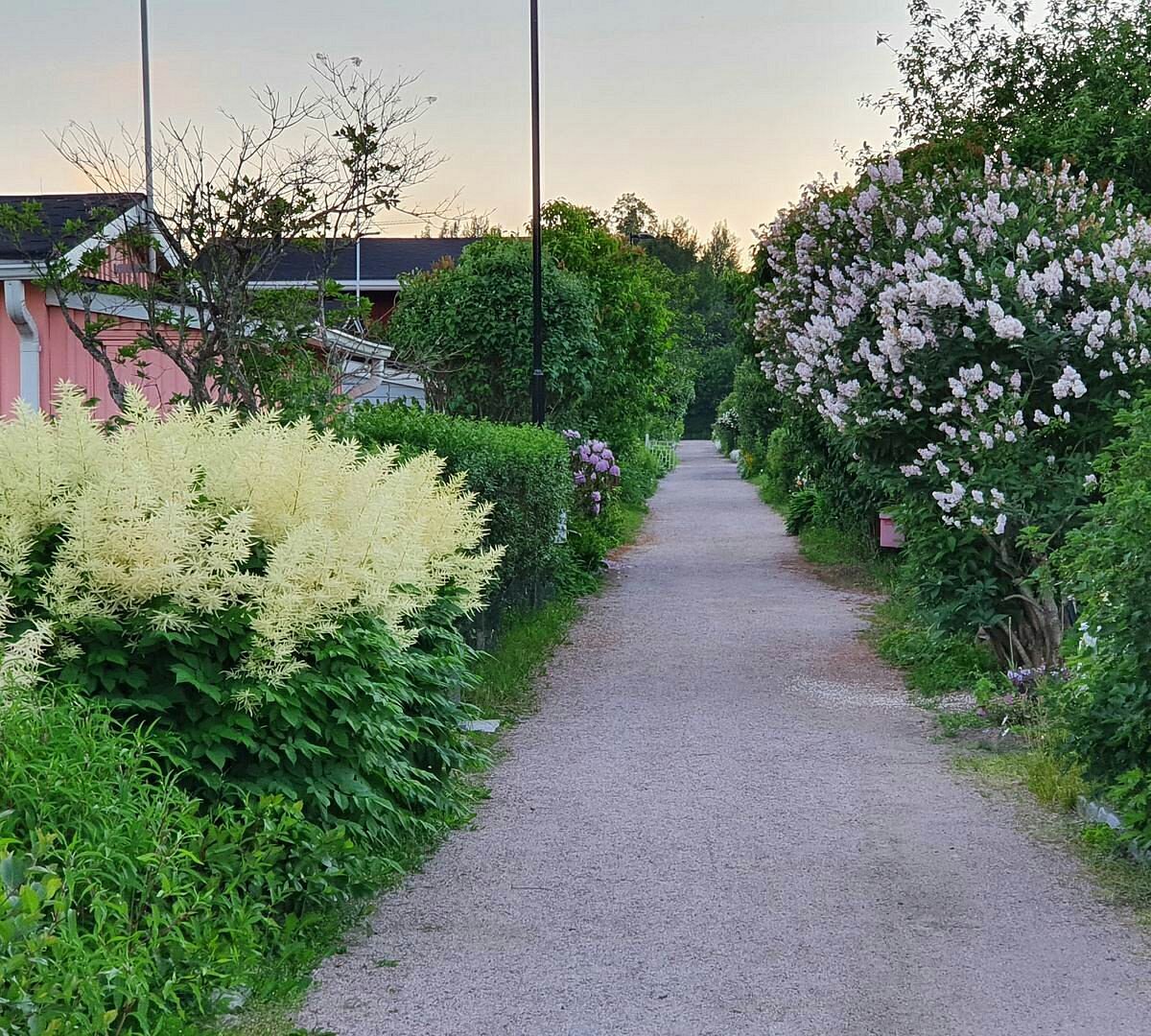Vallila Allotment Garden (Helsinki) - All You Need to Know BEFORE You Go