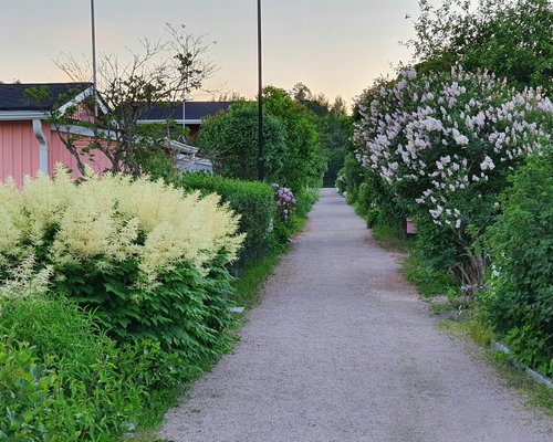 THE 5 BEST Helsinki Gardens (with Photos) - Tripadvisor