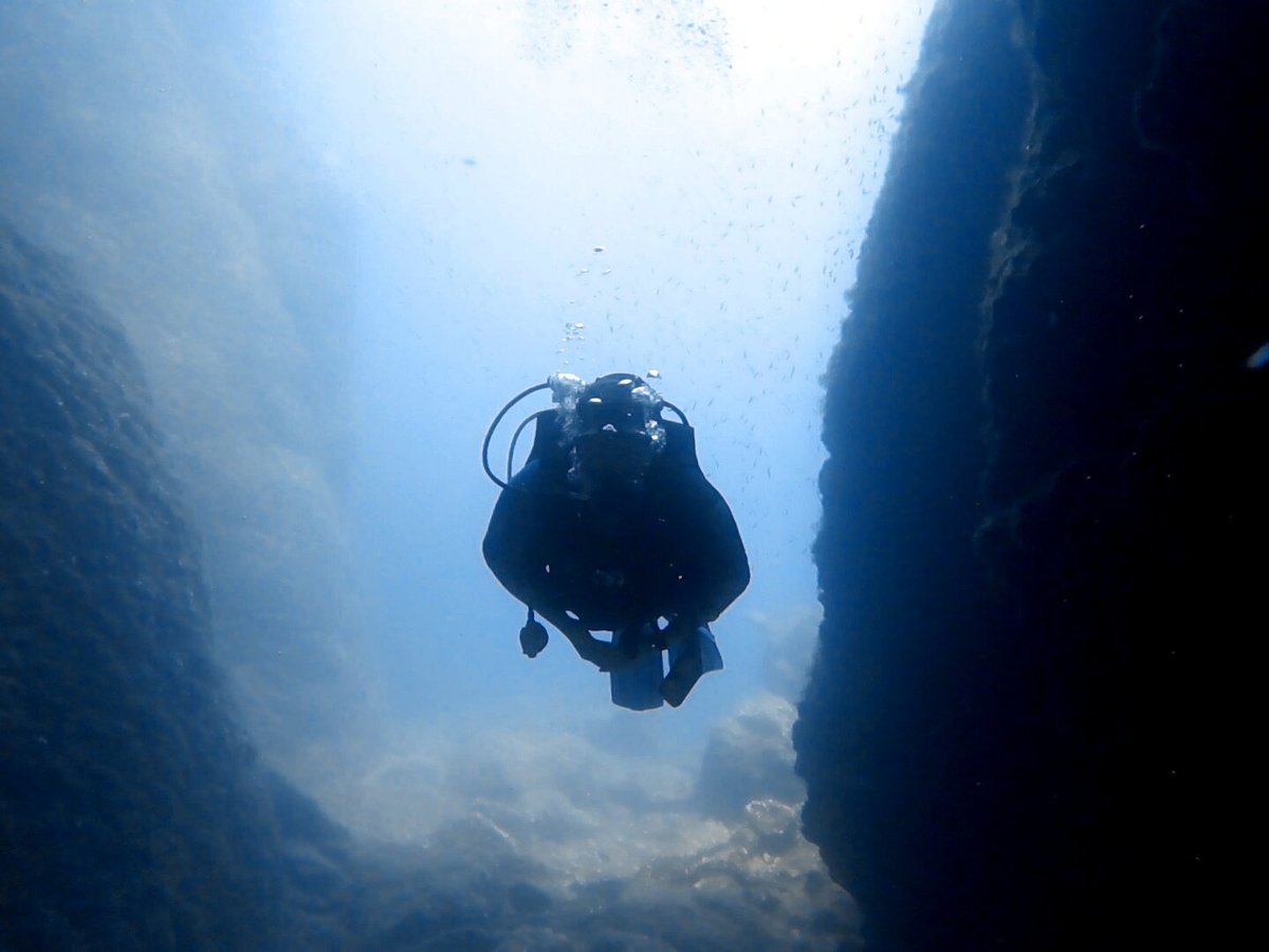 Diving Center Turtle Beach (Zakynthos) - All You Need to Know BEFORE You Go