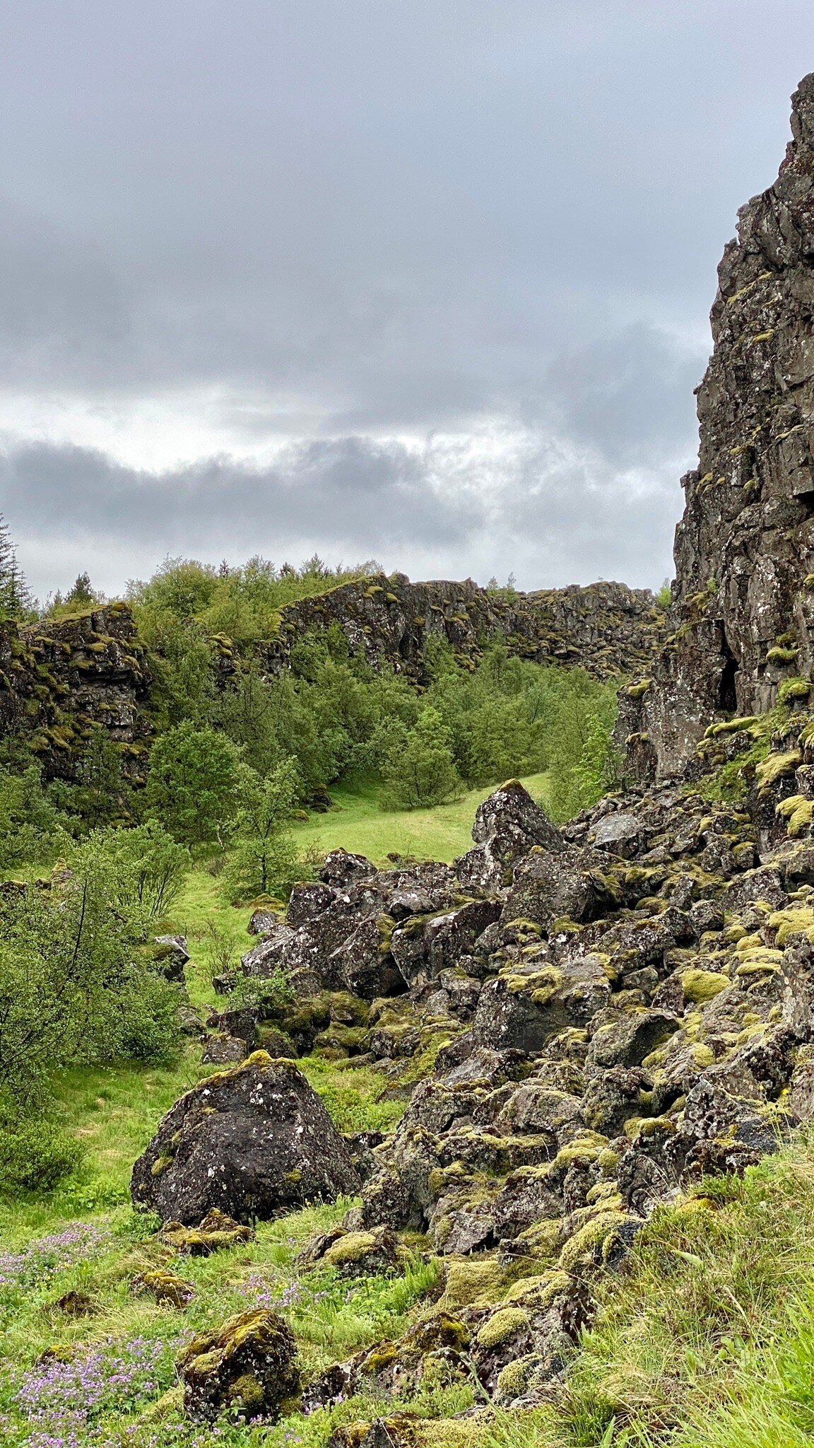 PINGVELLIR NATIONAL PARK CAMPGROUND (THINGVELLIR, ISLÂNDIA): 211 Fotos ...