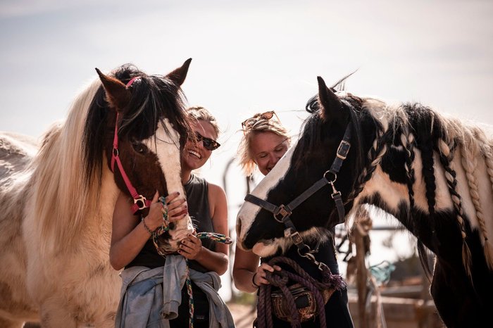 Imagen 4 de Tenerife Horse Rescue