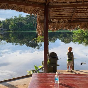 amazon tour from brazil