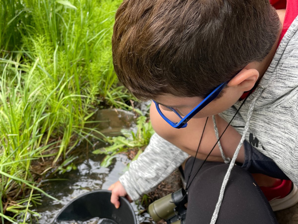 Gold Panning in Lomax Gulch