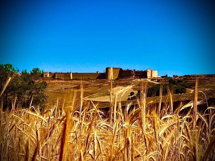 Imagen 9 de Murallas de Urueña