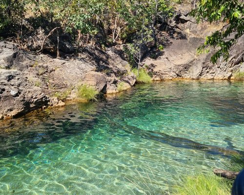 The Best Trails in Ôlho d'Água, Estado de Goiás (Brazil)