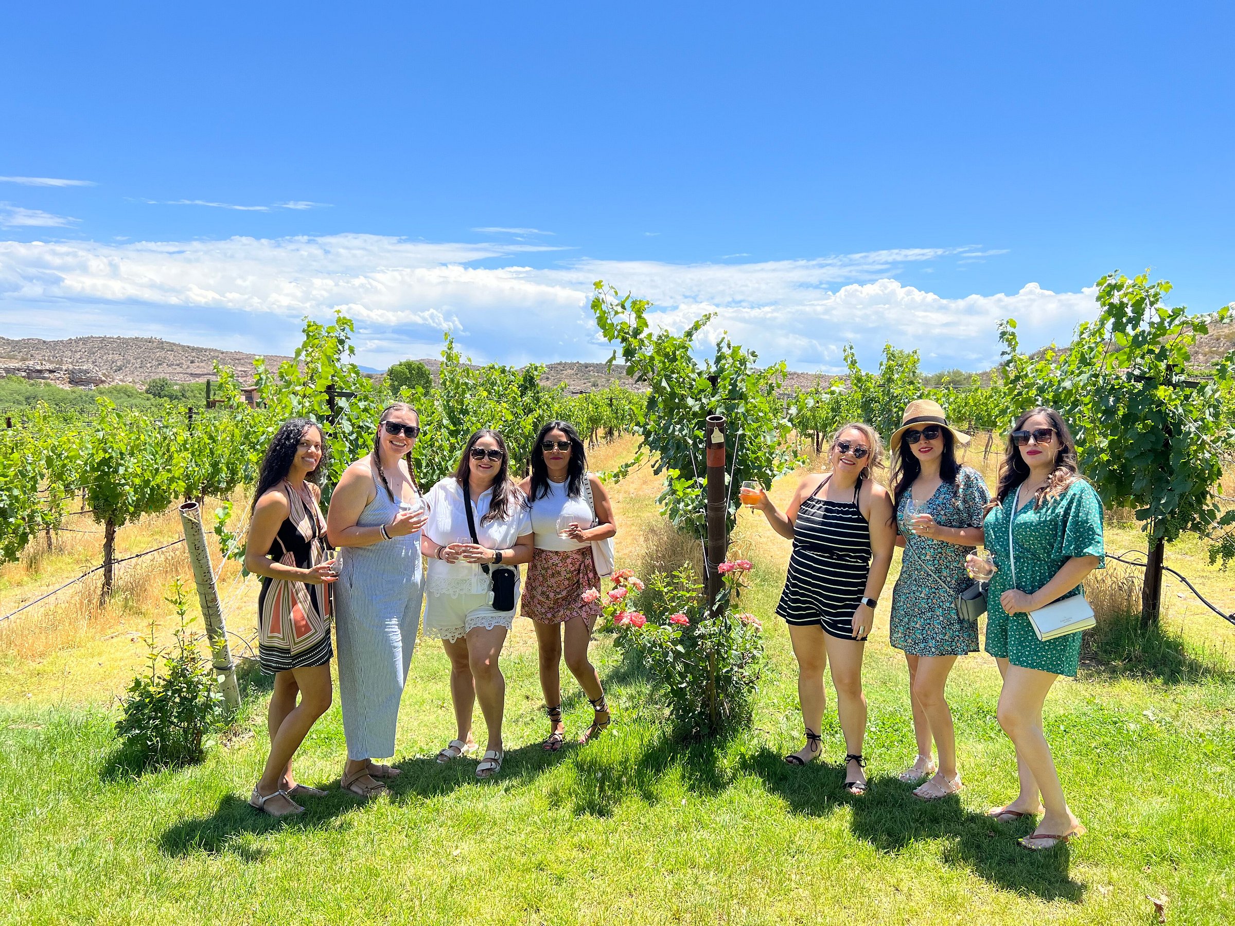 bliss wine tours reviews