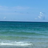 Topsail Beach State Preserve (Santa Rosa Beach) - All You Need to Know ...