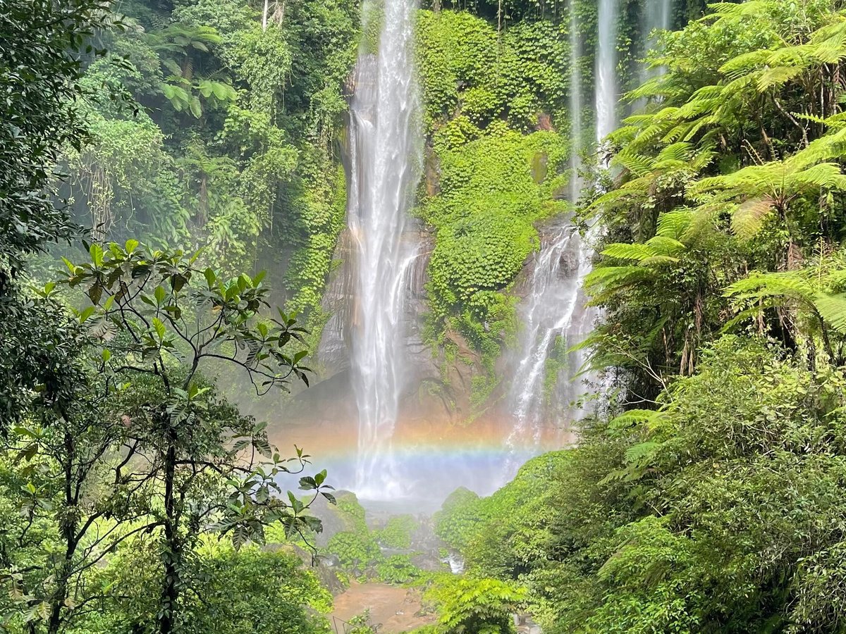 Bali Sekumpul Waterfall Tour