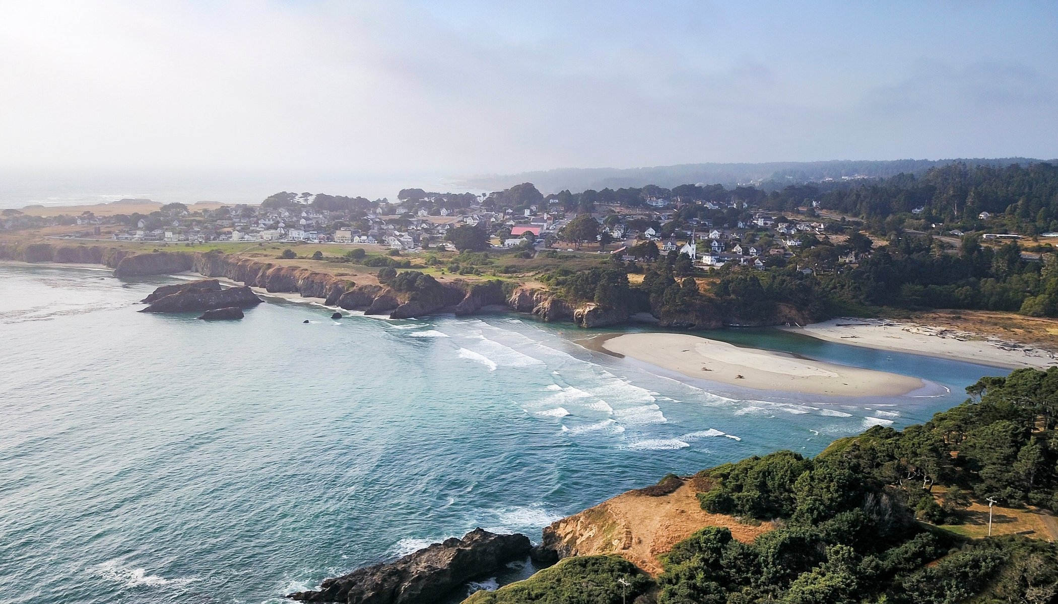 Mendocino Grove by null