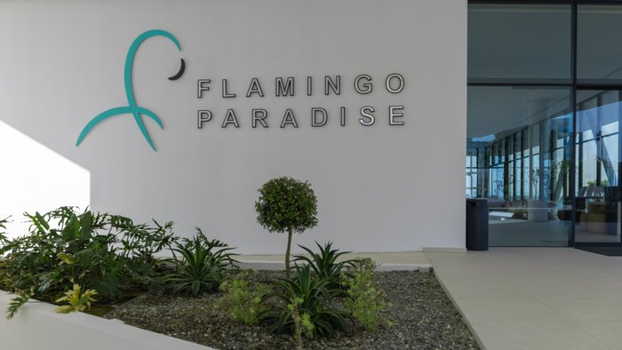 flamingo paradise beach hotel owner