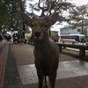 Paul in Asia
