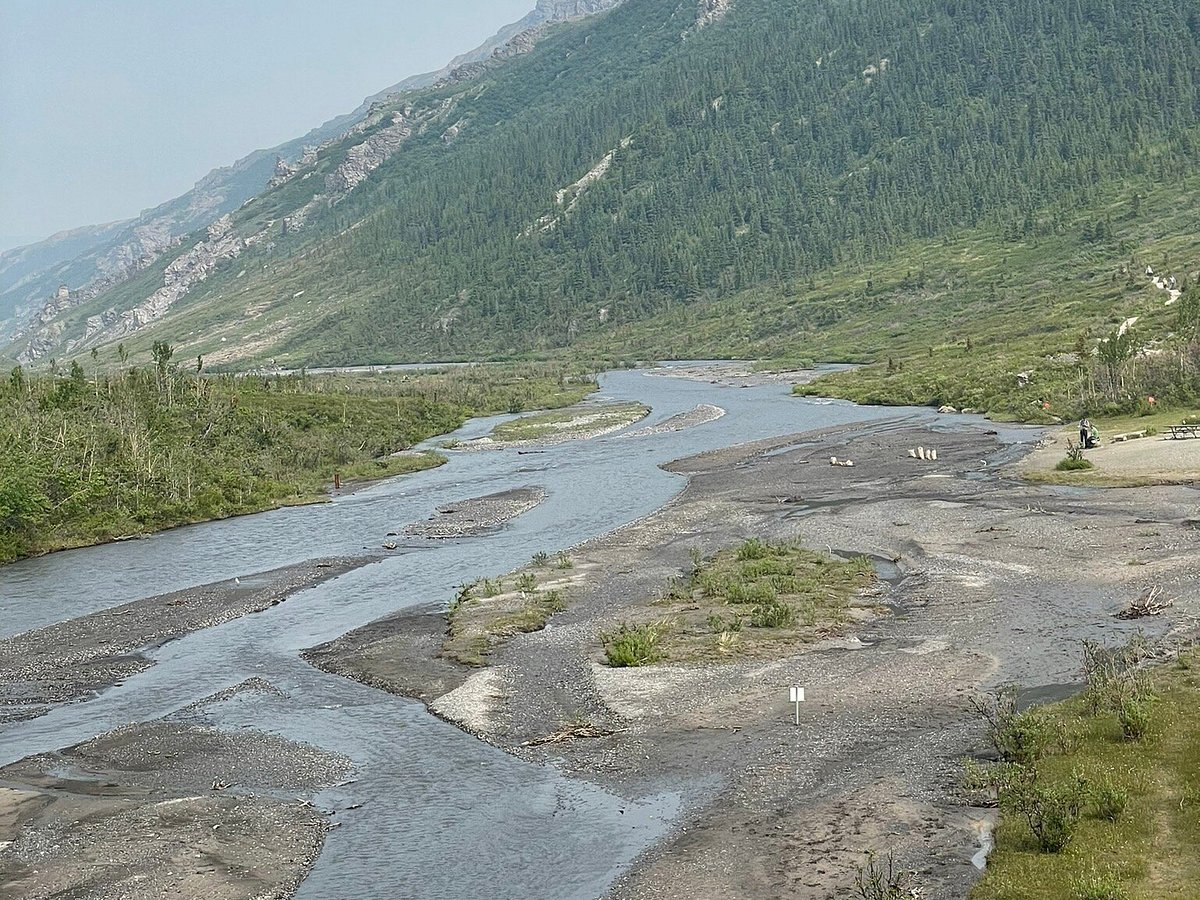 denali national park history tour