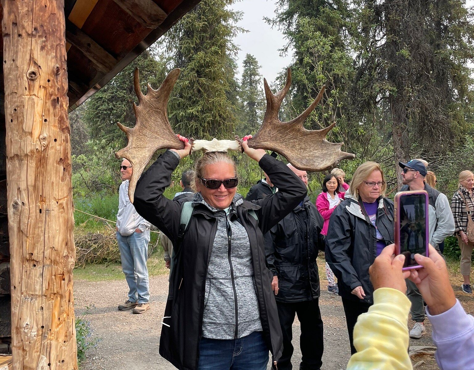 denali national park history tour