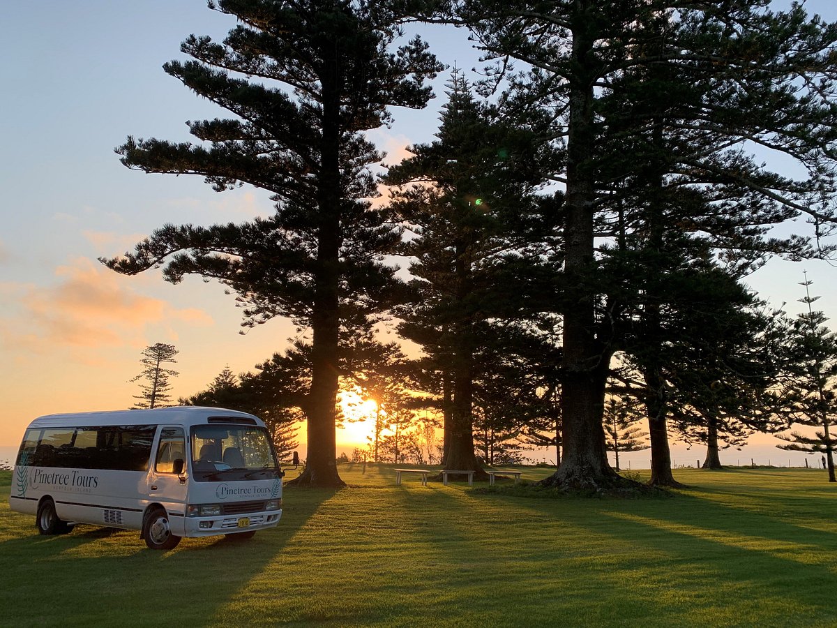 pinetree tours norfolk island