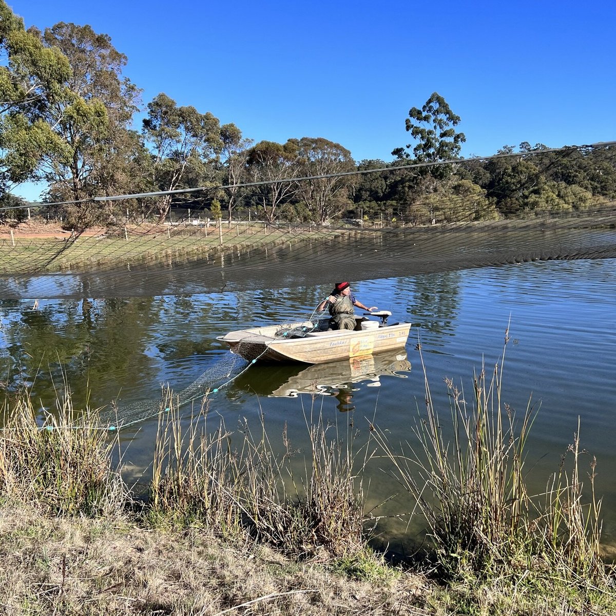 Forage Safaris (Busselton): All You Need to Know BEFORE You Go