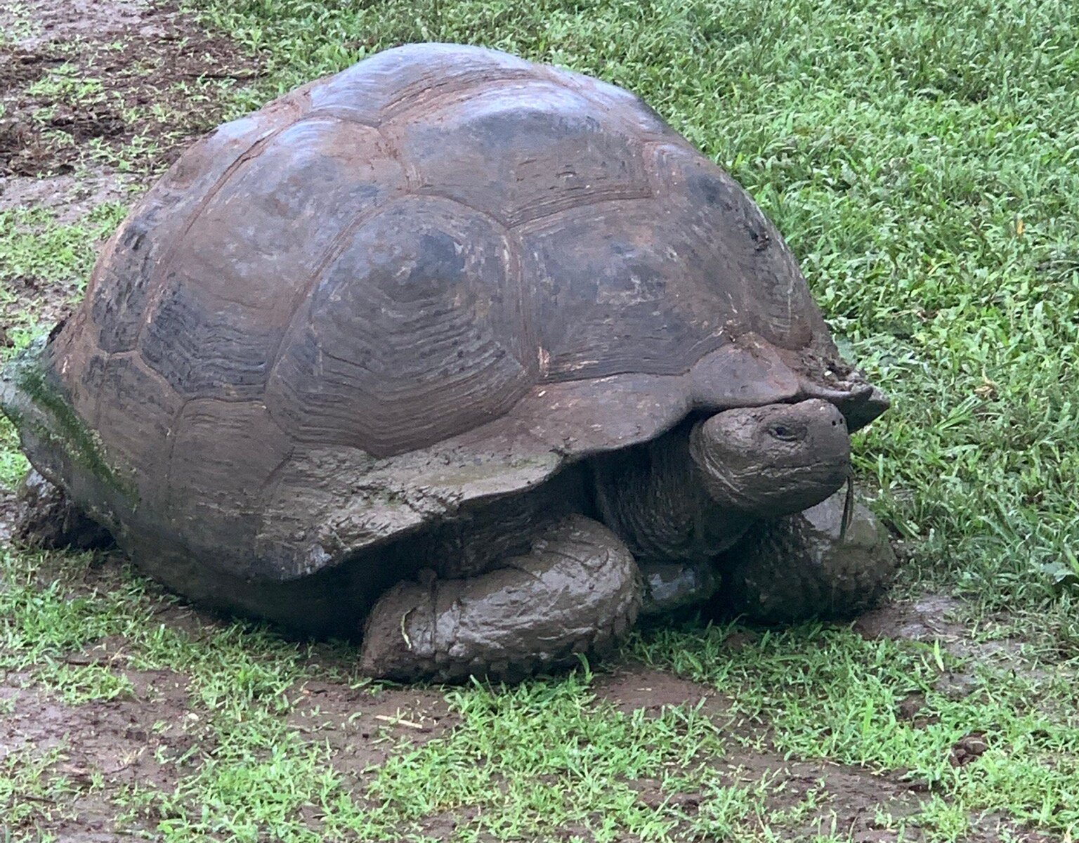 Metropolitan Touring (Galapagos Islands) - All You Need to Know BEFORE ...