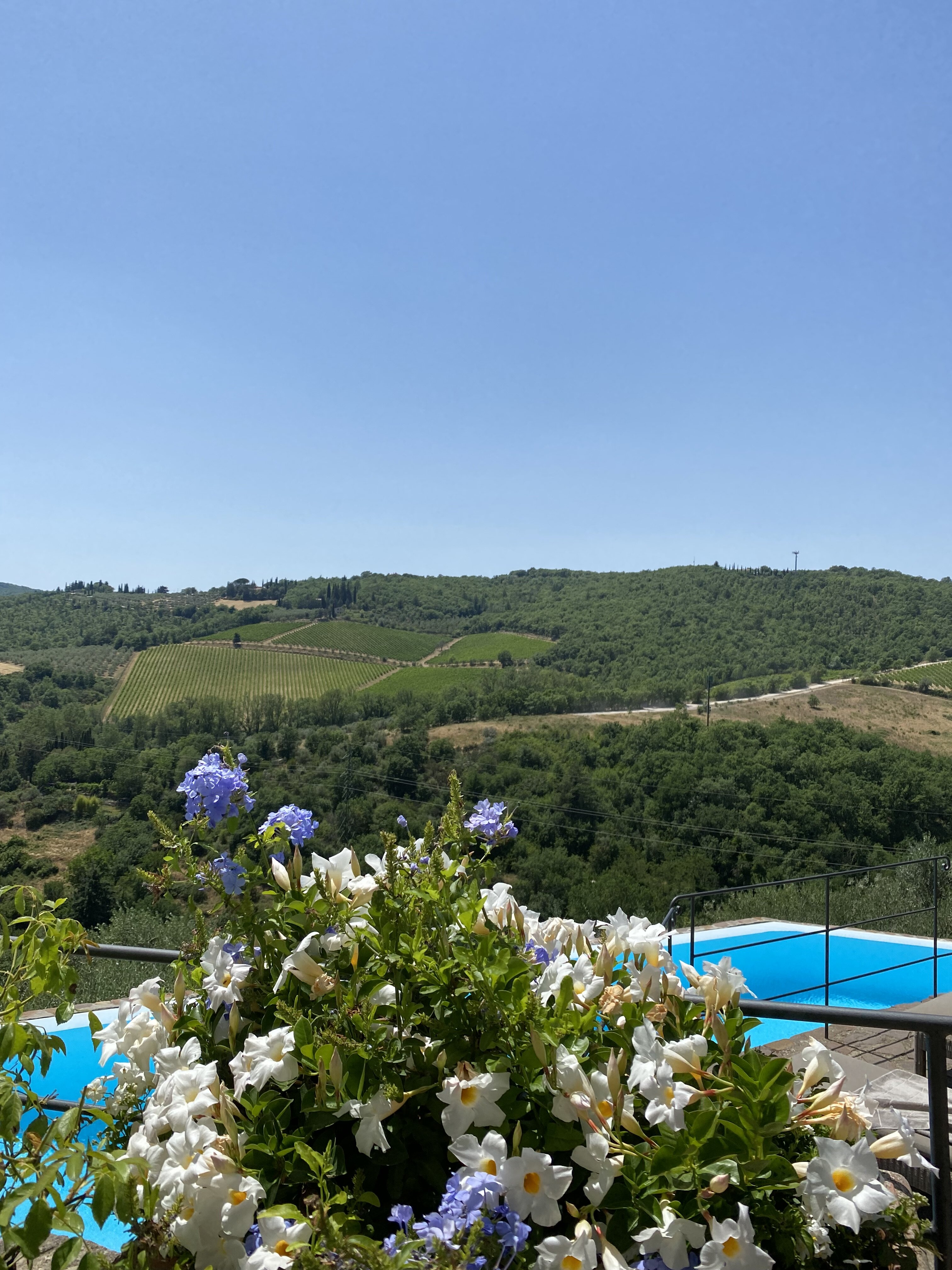 CAPANNELLE WINE RESORT $175 ($̶2̶1̶0̶) - Updated 2022 Prices & Hotel ...