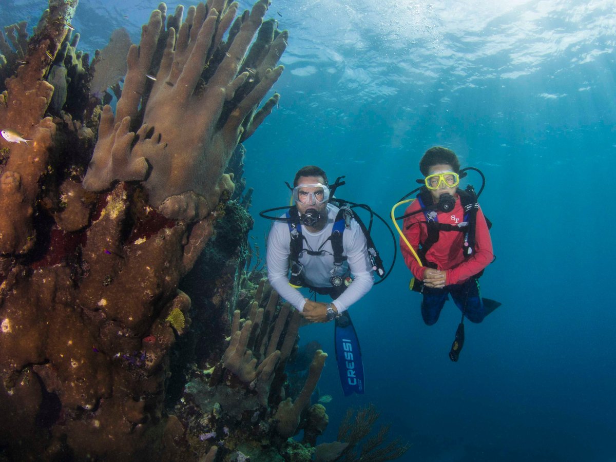 Andros Diving - All You Need to Know BEFORE You Go (with Photos)