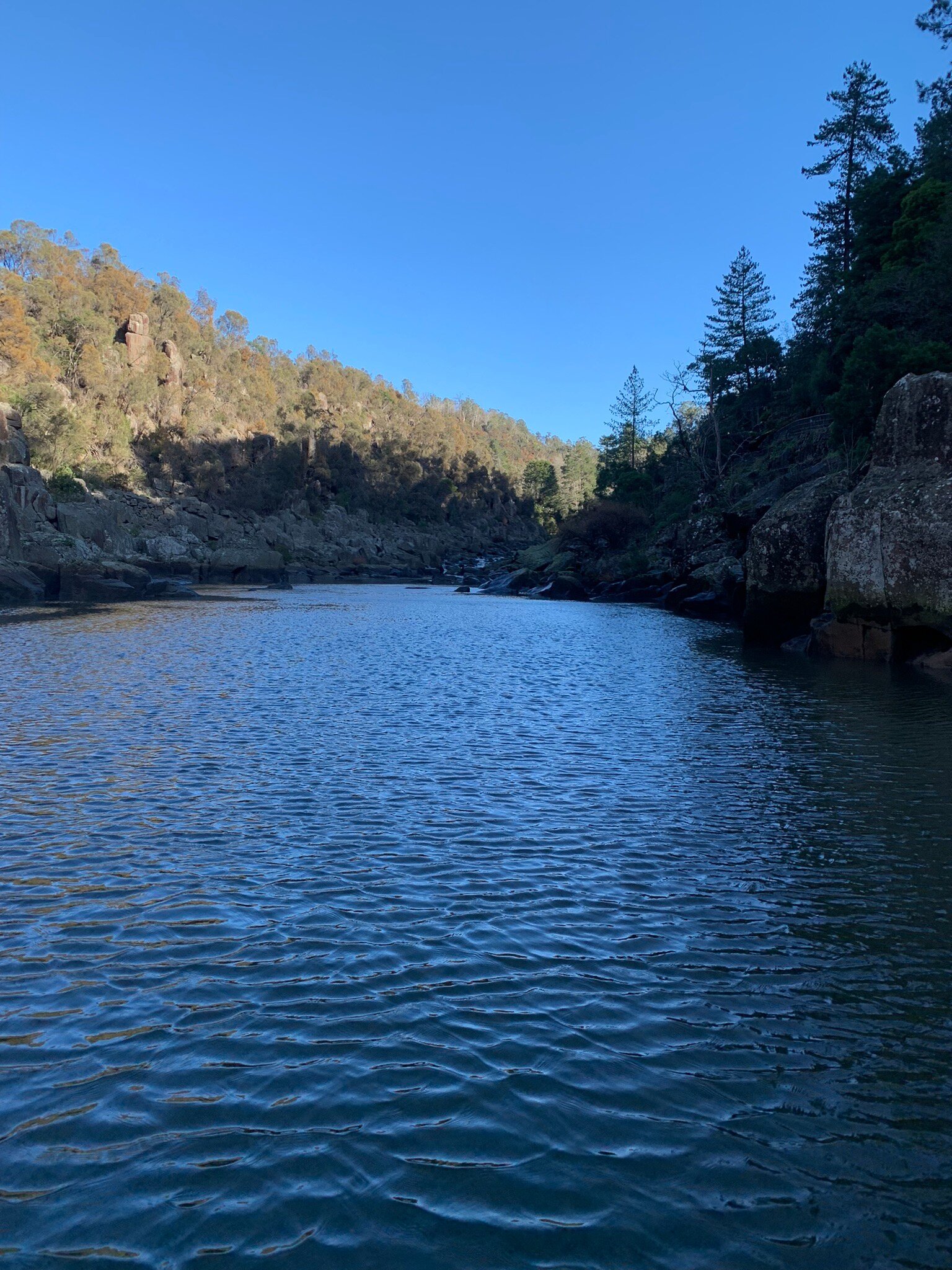 CATARACT GORGE CRUISES (Launceston) - 2022 Qué Saber Antes De Ir - Lo ...