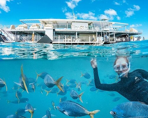 THE 10 BEST Great Barrier Reef Boat Rides & Cruises (Updated 2024)