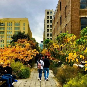 Your Complete Guide to Visiting the High Line