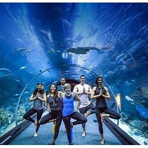 Dubai Aquarium: A Spectacular Aquatic Adventure Awaits You - Tips for an Enjoyable Visit