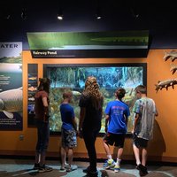 North Carolina Aquarium At Pine Knoll Shores - All You Need To Know 