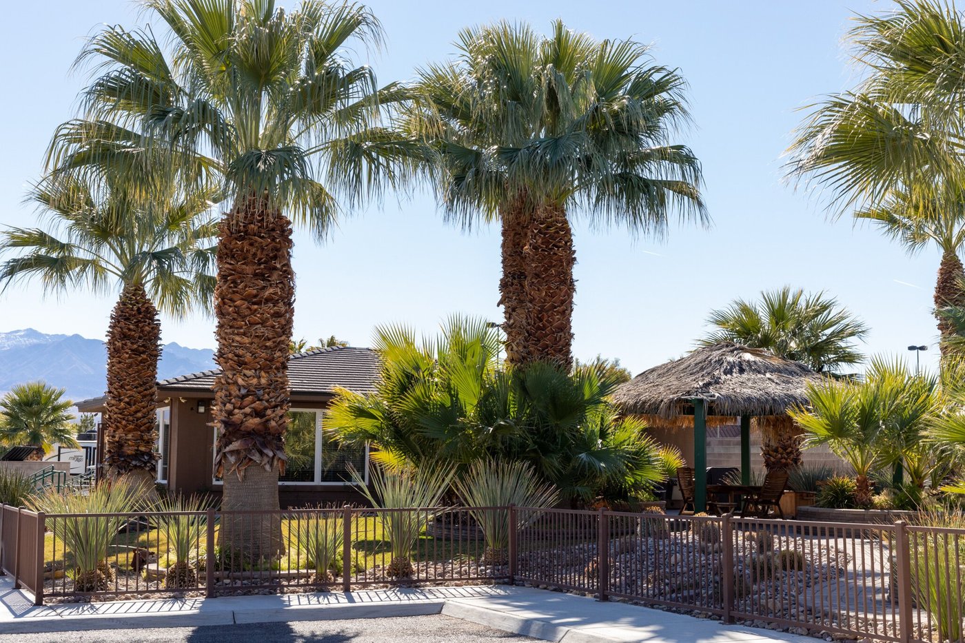 SUN RESORTS RV PARK (Mesquite, NV) opiniones y comentarios